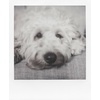 image:imagePolaroid Color Film for 600  Round Frame 60218 Photos