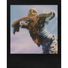 image:imagePolaroid Go Color Film  Black Frame 16 Photos 6211  Only Compatible with Polaroid Go CameraBlack Frame