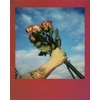 image:imagePolaroid Go Color Film  Black Frame 16 Photos 6211  Only Compatible with Polaroid Go CameraMulticolor Frame